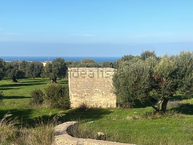 Rustico in vendita a Puglia, Brindisi