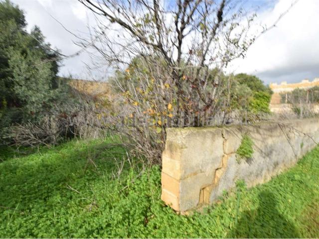 Rustico in vendita a Mazara Del Vallo, Sicilia