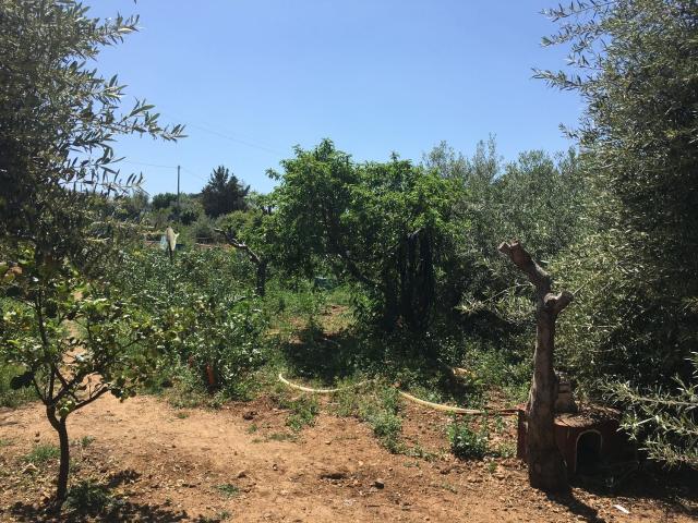 Rustico in vendita a Ficarazzi, Sicilia