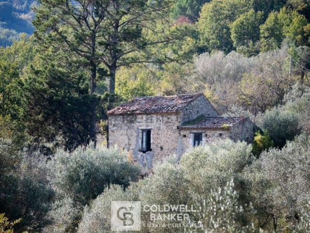 Rustico in vendita a Omignano, Campania
