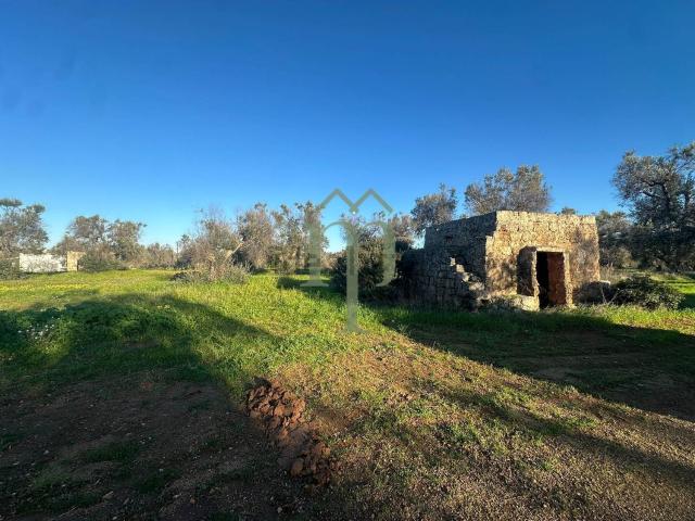 Rustico in vendita a Carovigno, Brindisi