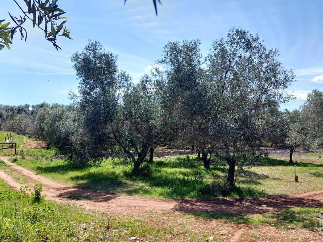 Rustico in vendita a Ostuni, Brindisi