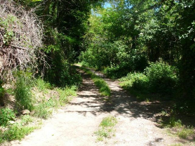 Rustico in vendita a San Giovanni Delle Contee, Sorano
