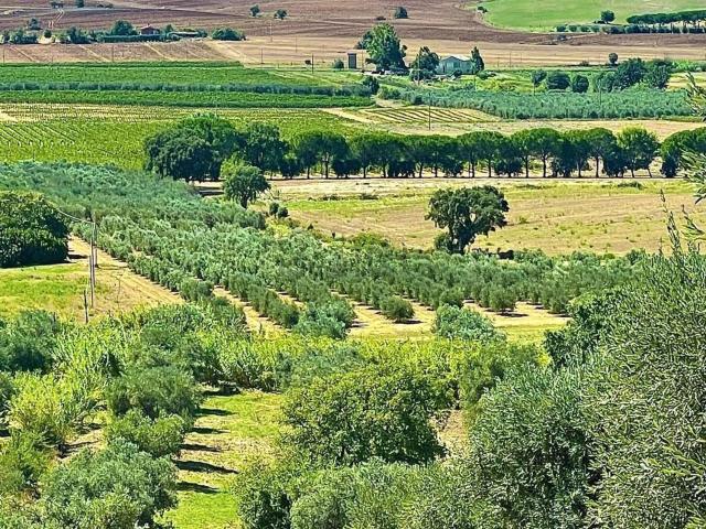 Rustico in vendita a Talamone, Orbetello
