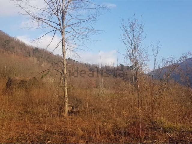 Rustico in vendita a Unione Comuni Garfagnana, Gallicano