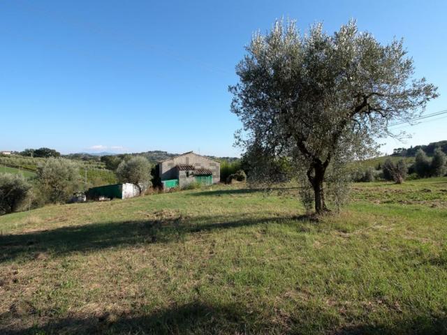 Rustico in vendita a Montenero, Amelia