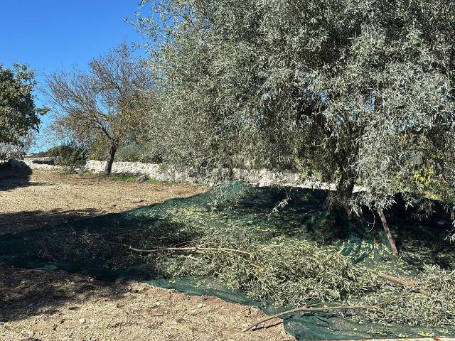 Rustico in vendita a Modica, Ragusa