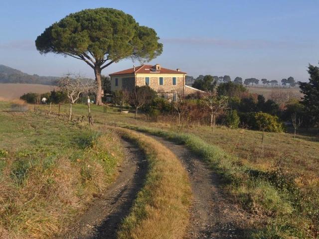 Rustico in vendita a Rosignano Marittimo, Toscana