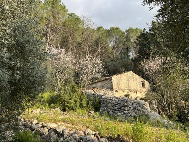 Rustico in vendita a Salto Di Fondi, Lazio