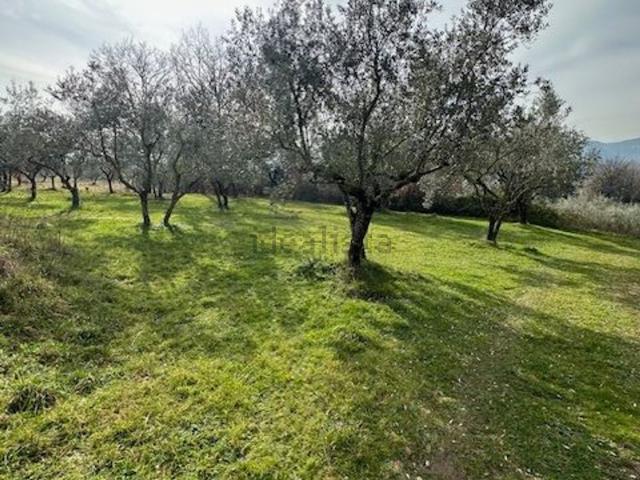 Rustico in vendita a Alatri, Lazio