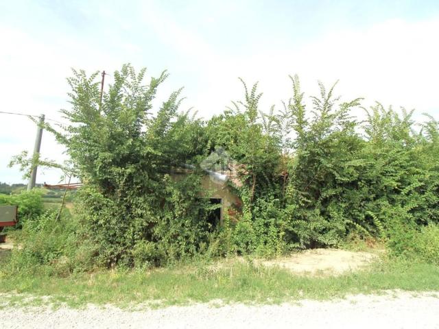 Rustico in vendita a Unione dei comuni Valle del Savio, Cesenà