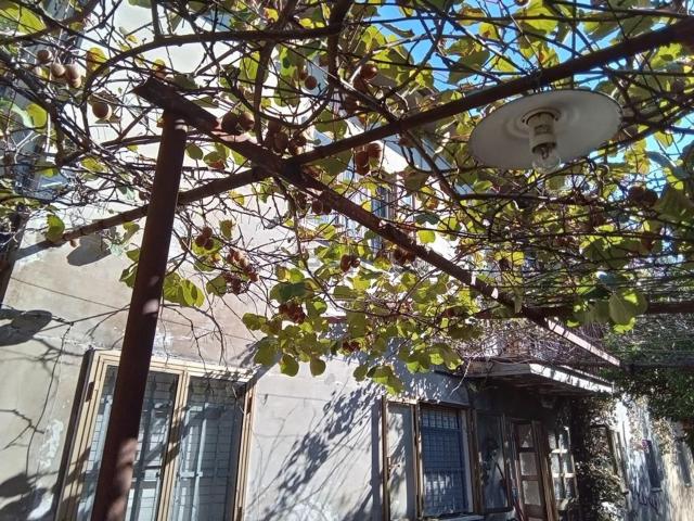 Rustico in vendita a Pieve, Camaiore
