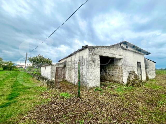 Rustico in vendita a Alife, Campania