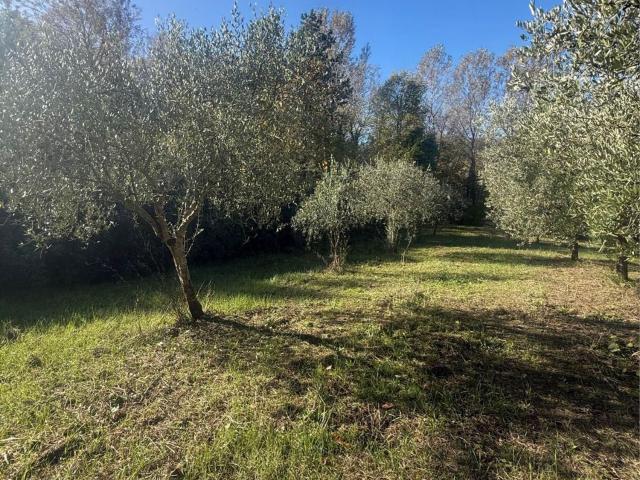 Rustico in vendita a Montaperto, Prata Principato Ultra