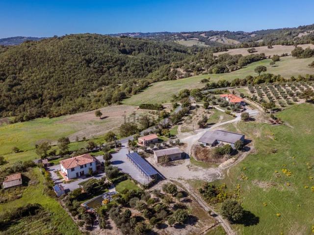 Rustico in vendita a Scansano, Toscana