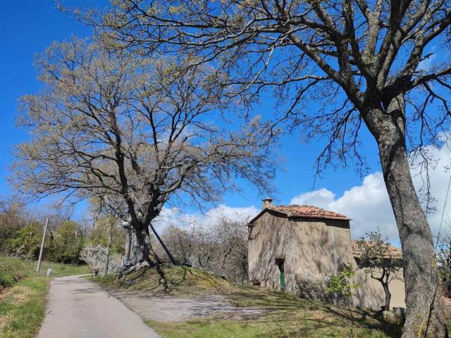Rustico in vendita a Unione dei Comuni Montani Amiata Grossetana, Seggiano
