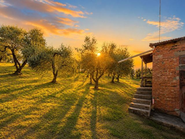 Rustico in vendita a Unione dei Comuni Circondario dell'Empolese Valdelsa, Vinci