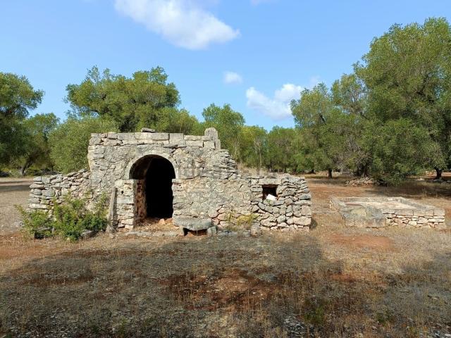 Rustico in vendita a Puglia, Taranto