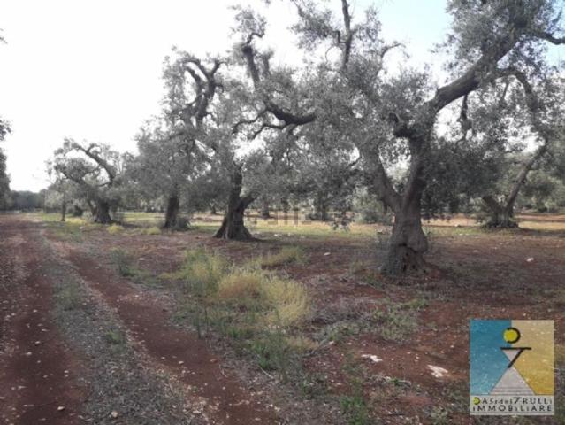 Rustico in vendita a Puglia, Brindisi