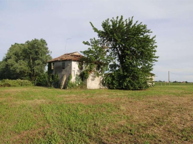 Rustico in vendita a Salgareda, Veneto