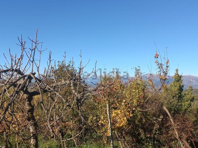 Rustico in vendita a Melizzano, Campania