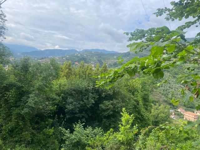 Rustico in vendita a San Salvatore, Cogorno