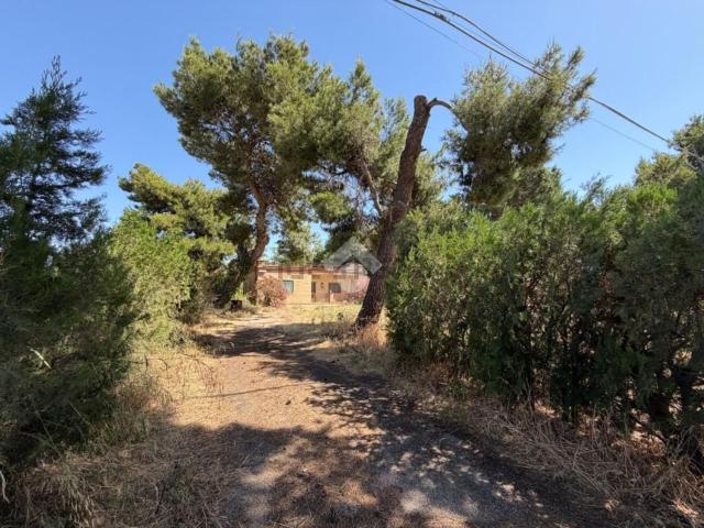 Rustico in vendita a Puglia, Foggia