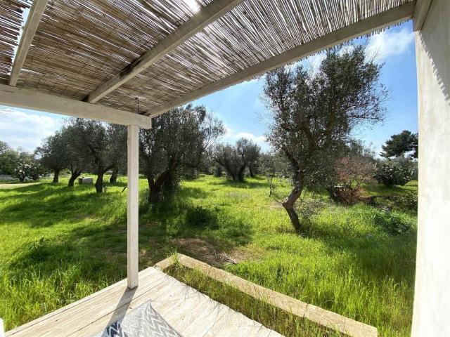 Rustico in vendita a Puglia, Lecce