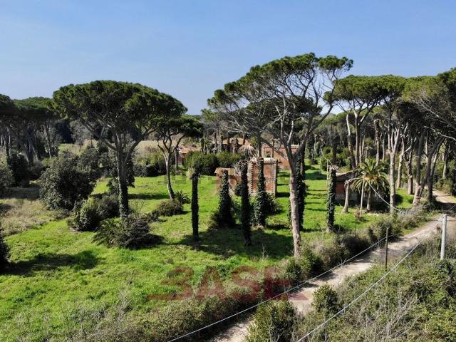 Rustico in vendita a Bolgheri, Toscana