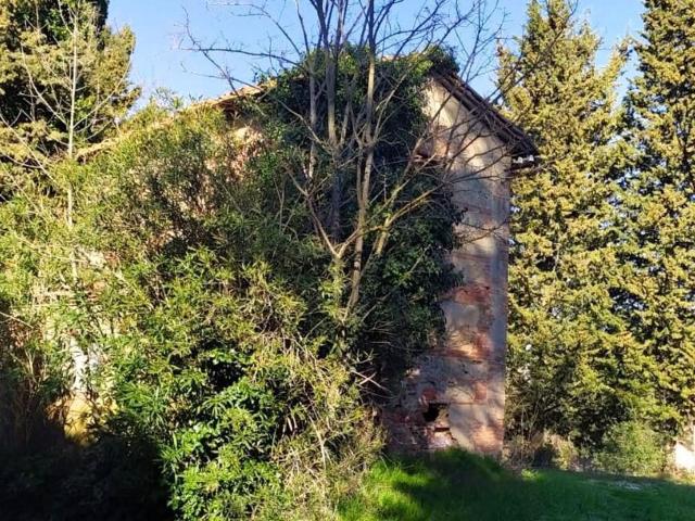 Rustico in vendita a Legoli, Toscana