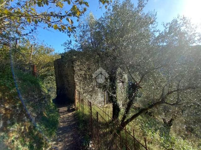 Rustico in vendita a Mezzanego, Liguria