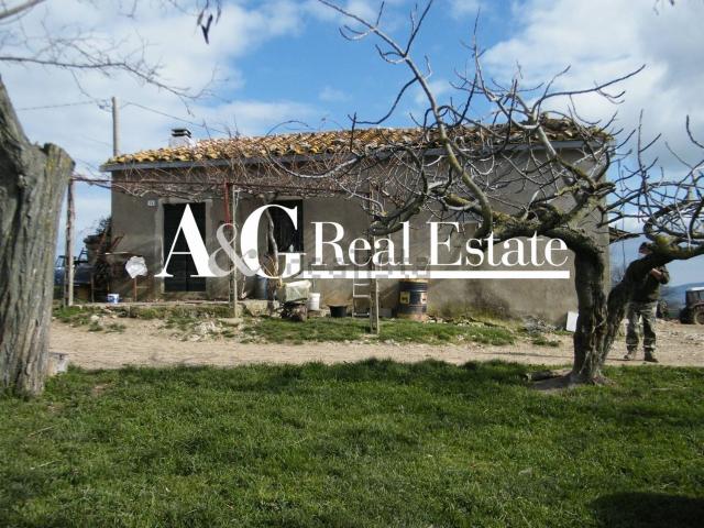 Rustico in vendita a Le Case, Scansano