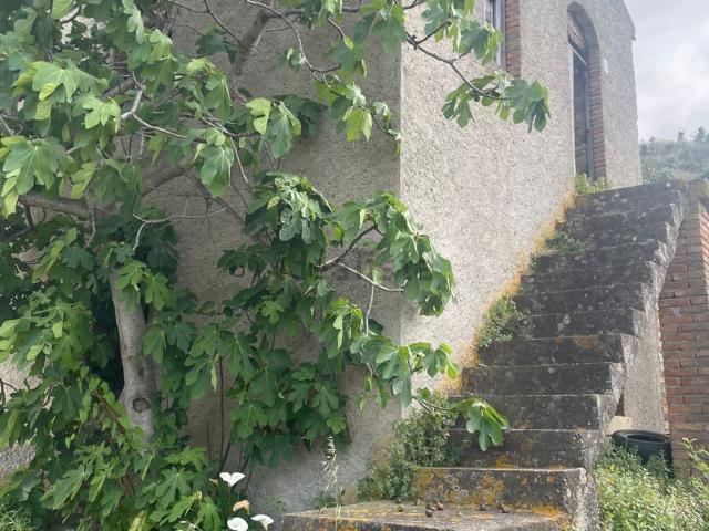 Rustico in vendita a Patti, Sicilia