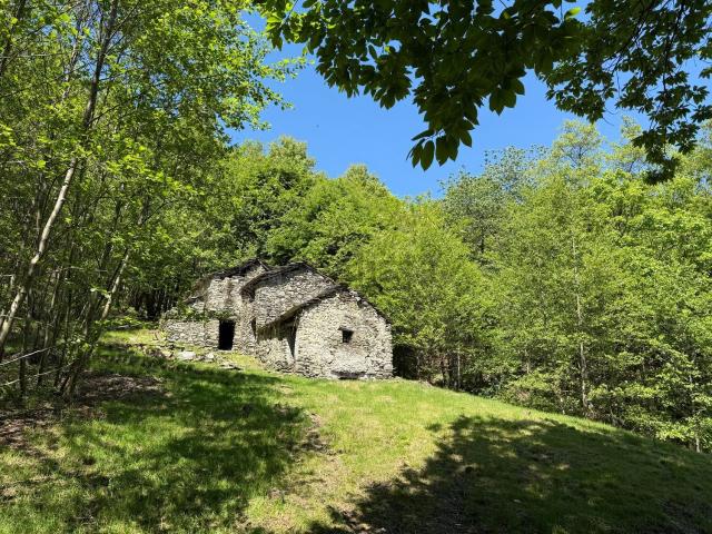 Rustico in vendita a Pianello Del Lario, Lombardia