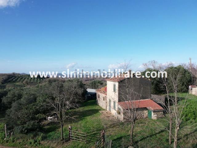 Rustico in vendita a Capalbio, Toscana
