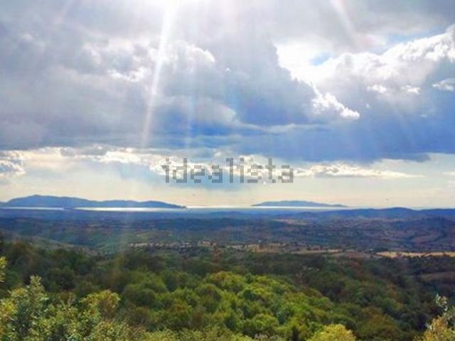 Rustico in vendita a Scansano, Toscana
