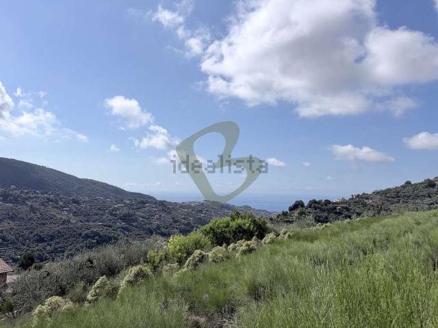 Rustico in vendita a Vallebona, Provincia di Imperia