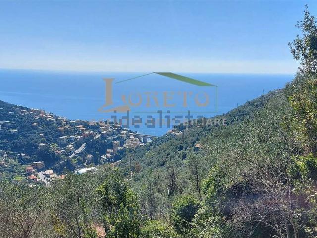 Rustico in vendita a Zoagli, Liguria