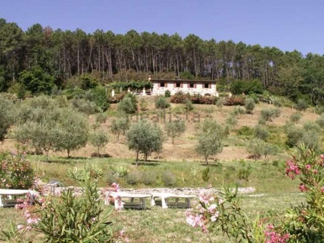 Rustico in vendita a Colle di Compito, Capannori