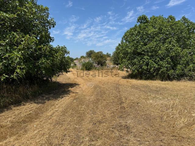 Rustico in vendita a Puglia, Taranto