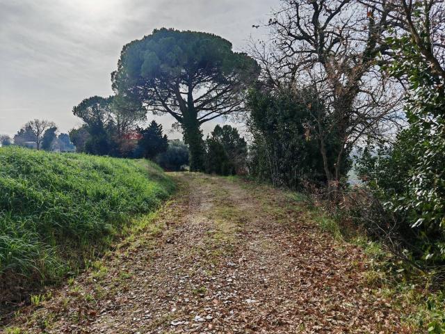 Rustico in vendita a Marche, Macerata