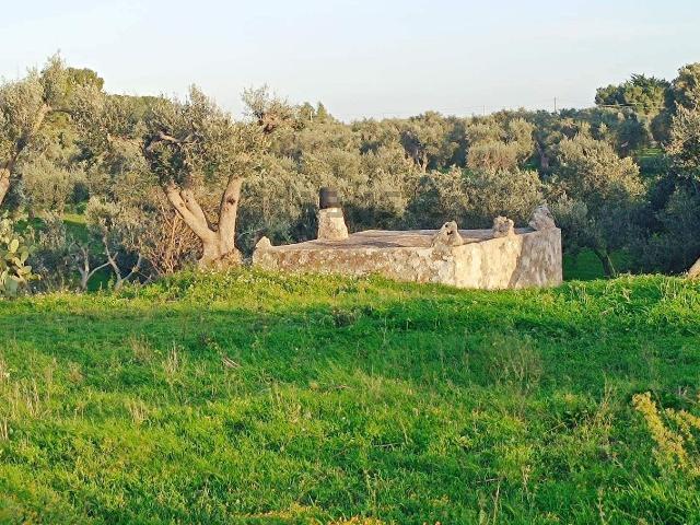Rustico in vendita a Puglia, Brindisi
