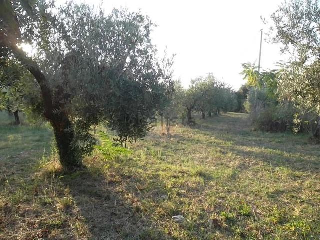 Rustico in vendita a Pollutri, Abruzzo