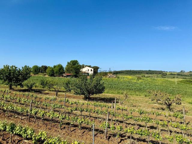 Rustico in vendita a Magliano In Toscana, Toscana