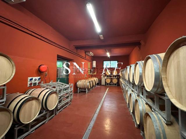 Rustico in vendita a Volognano, Rignano sull'Arno