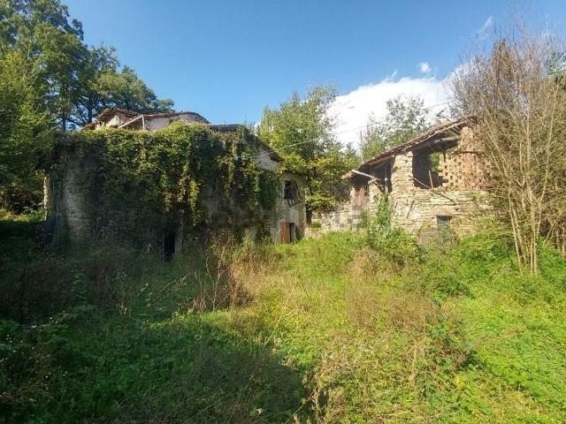 Rustico in vendita a Unione di comuni Terre di Castelli, Zocca