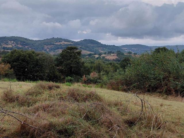 Rustico in vendita a Le Case, Scansano
