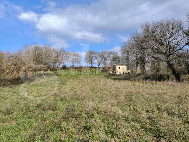 Rustico in vendita a Gallese, Viterbo