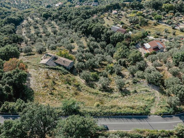 Rustico in vendita a Sant'Elia, Calabria