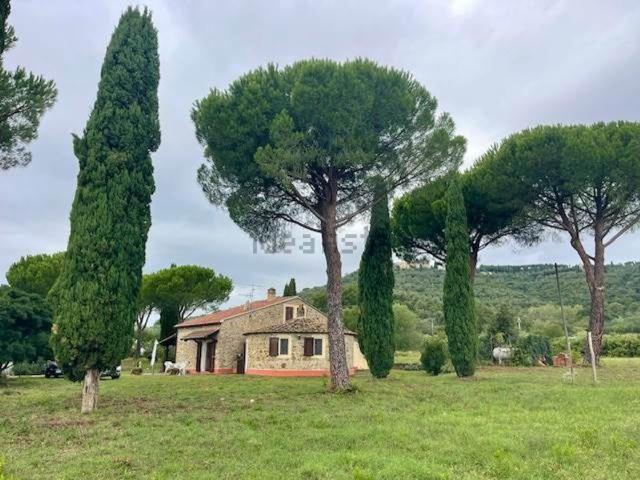 Rustico in vendita a Grilli, Gavorrano